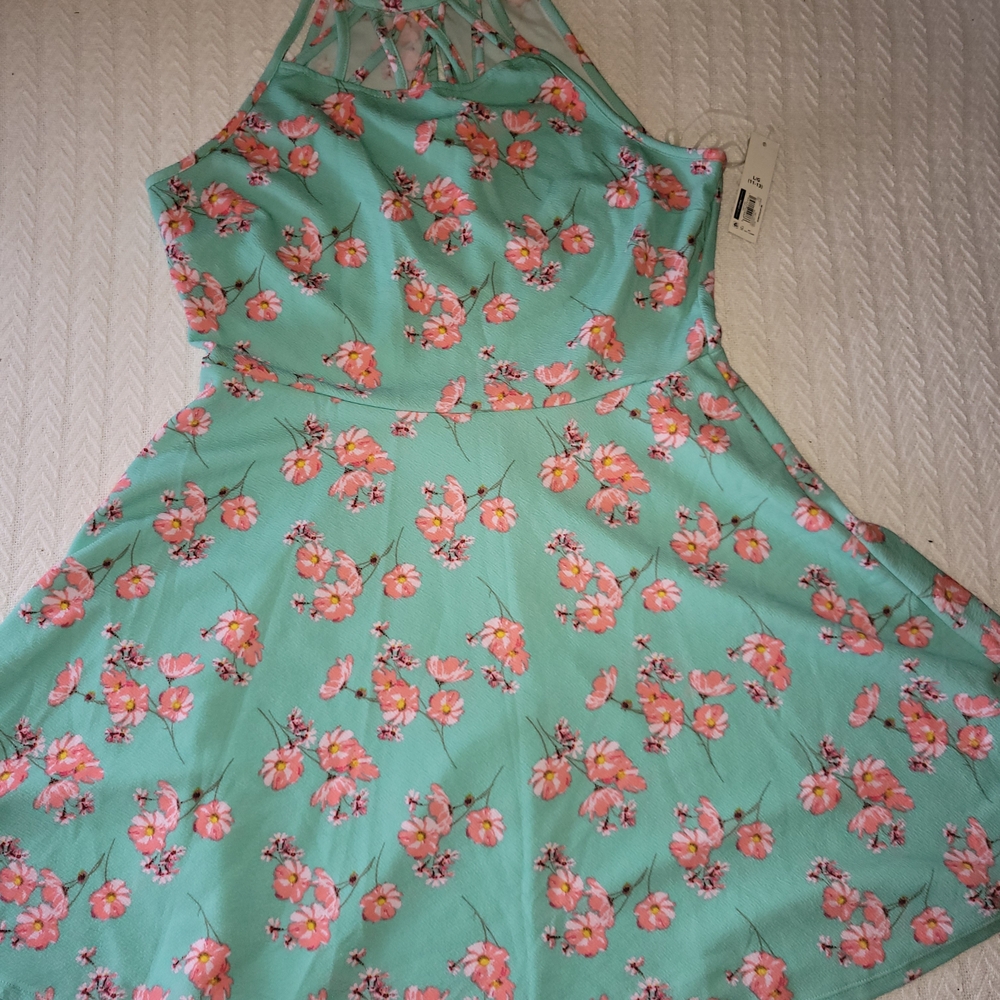 NO BOUNDRIES Mint Floral Halter Dress Large
